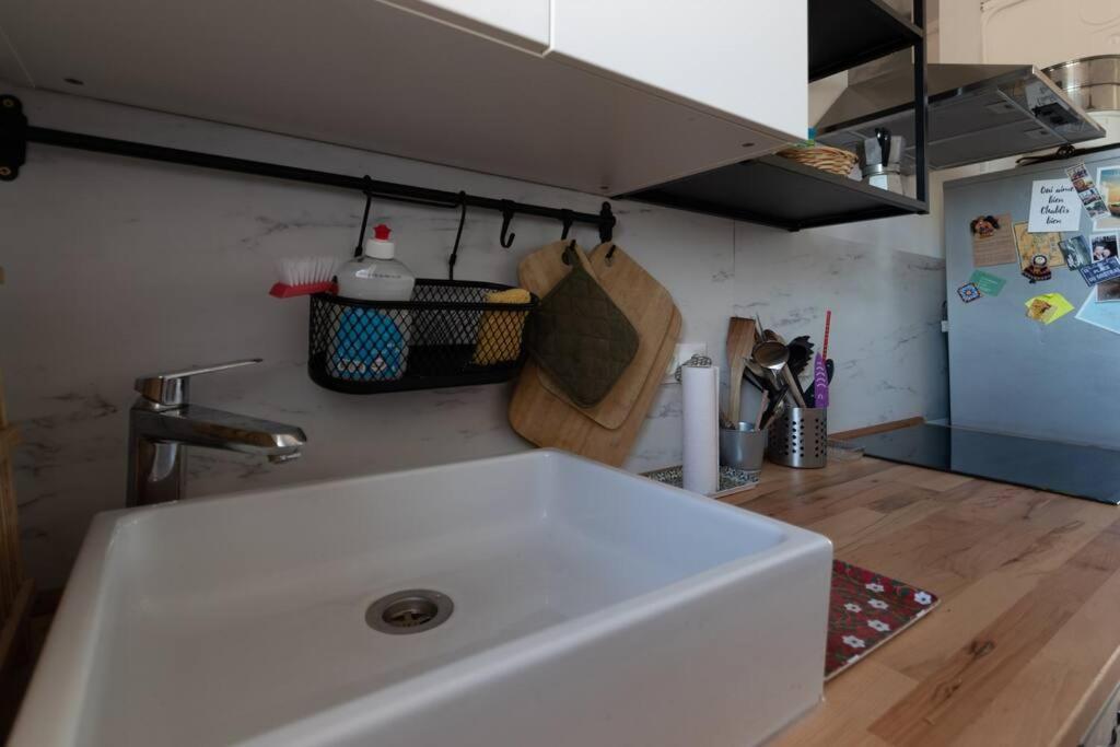 Cabana & Grand Appartement Cosy - Parking & Balcon Villefranche-sur-Saône Eksteriør bilde